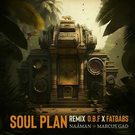 Album cover of Soul Plan (Remix)