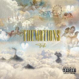 Album cover of Themotions
