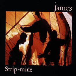 Album cover of Strip-Mine