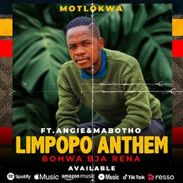 Album cover of LIMPOPO ANTHEM (feat. Angie & Mabotho)