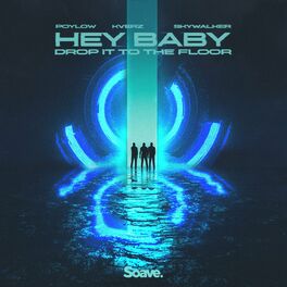 Album cover of Hey Baby (Drop It To The Floor)