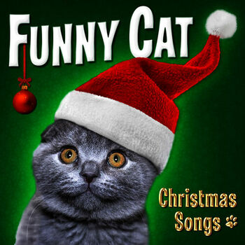 Funny Cats - Carol of the Bells: listen with lyrics | Deezer