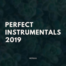 Album cover of Perfect Instrumentals 2019