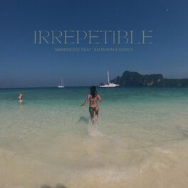 Album cover of Irrepetible