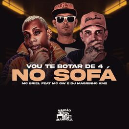 Album cover of Vou Te Botar de 4 no Sofá