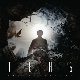 Album cover of Тень