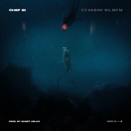 Album cover of Cevabını Bilmem