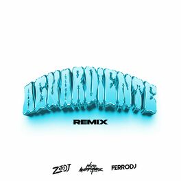 Album cover of Aguardiente (Remix)