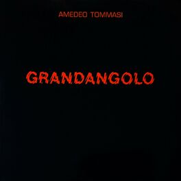 Album cover of Grandangolo