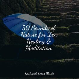 Album cover of 50 Sounds of Nature for Zen Healing & Meditation