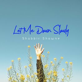 Album cover of Let Me Down Slowly (Lofi Remix)