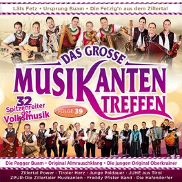 Album cover of Das große Musikantentreffen - Folge 39