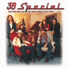 Album cover of The Very Best Of The A&M Years (1977-1988)