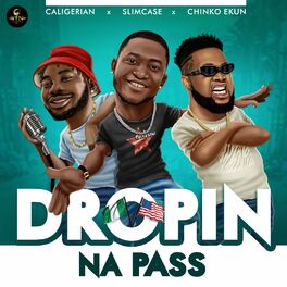 Album cover of Dropin Na Pass