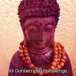 Album cover of 63 Contemplative Beings