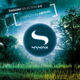 Album cover of Sinsonic Selection 3.0