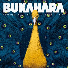 Album cover of Canaries in a Coal Mine