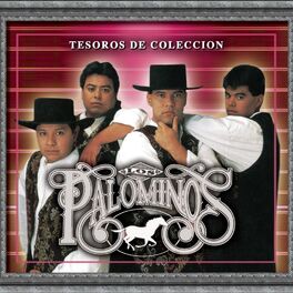 Album cover of Tesoros De Coleccion