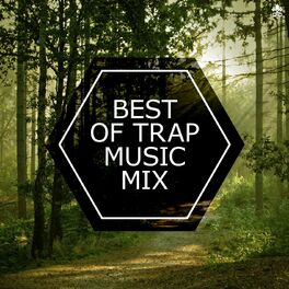 Album cover of Best of Trap Music Mix