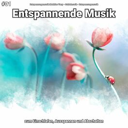 Album cover of #01 Entspannende Musik zum Einschlafen, Ausspannen und Abschalten