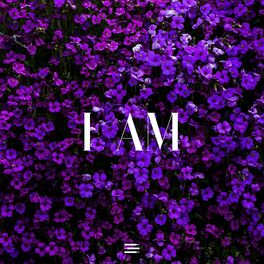Album cover of I AM