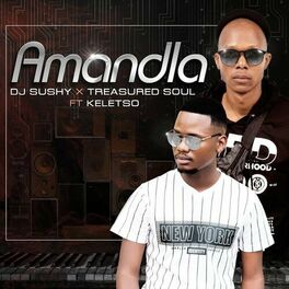Album cover of Amandla