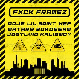 Album cover of FXCK FRAMEZ