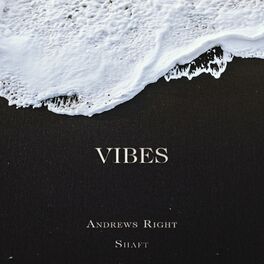 Album cover of Vibes (feat. Shaft)