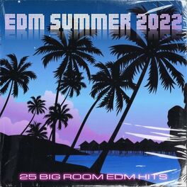 Album cover of EDM Summer 2022 (25 Big Room EDM Hits)