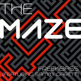 Album cover of The Maze (feat. Sammi Garett)
