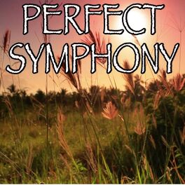Album cover of Perfect Symphony - Tribute to Ed Sheeran with Andrea Bocelli