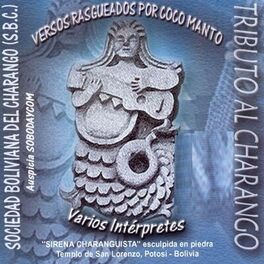 Album cover of Tributo al Charango