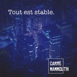 Album cover of Tout est stable