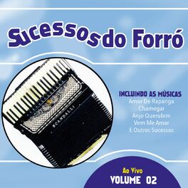 Album cover of Sucessos Do Forró, Vol. 2 (Ao Vivo)
