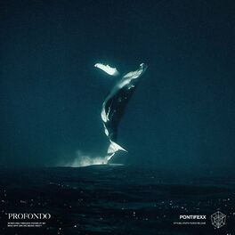 Album cover of Profondo