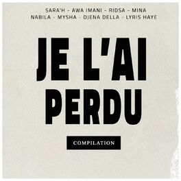 Album cover of Je l'ai perdu