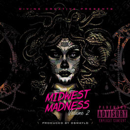 Album cover of Midwest Madness Mixtape Volume 2