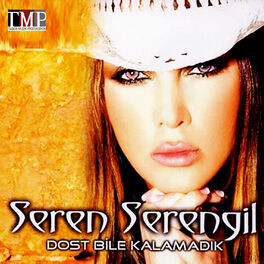 Album cover of Dost Bile Kalamadık