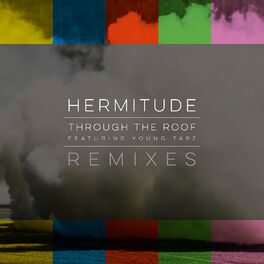 Album cover of Through the Roof (Remixes)