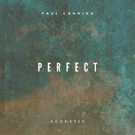 Album cover of Perfect (Acoustic)