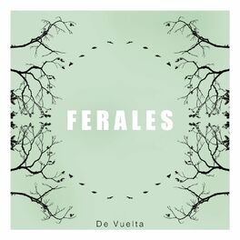 Album cover of De Vuelta