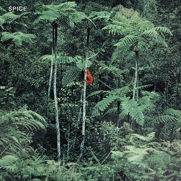 Album cover of SPICE