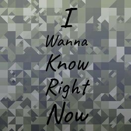 Album cover of I Wanna Know Right Now