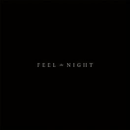 Album cover of Feel the Night