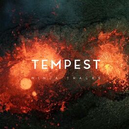 Album cover of Tempest