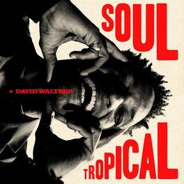 Album cover of Soul Tropical