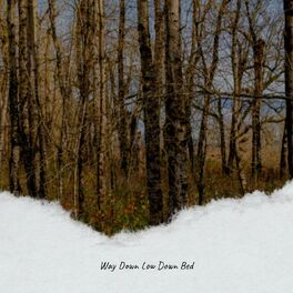 Album cover of Way Down Low Down Bed