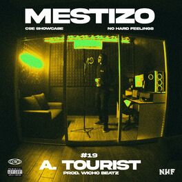 Album cover of Mestizo