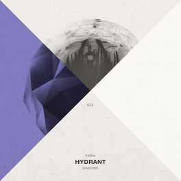 Album cover of Hydrant