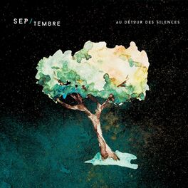 Album cover of Au détour des silences